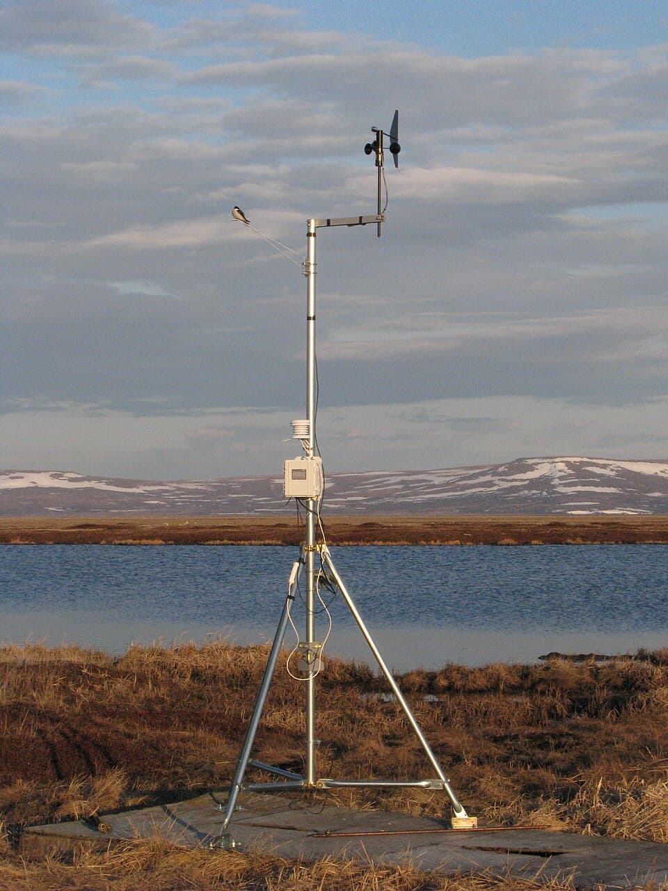 Weather station image supporting dew point tomorrow by zip code forecasts