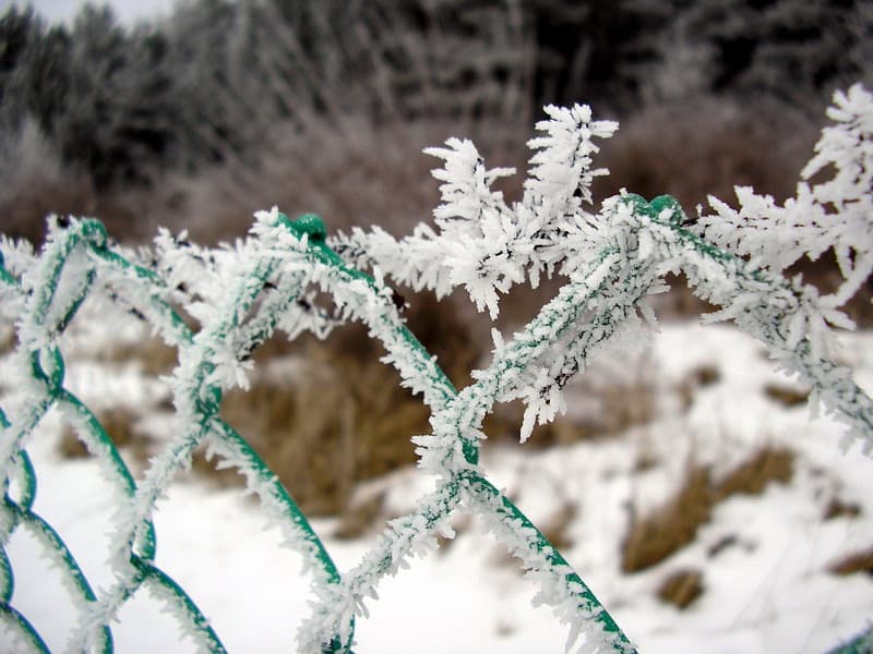 Hoar frost leaves showing hard freeze conditions now covered by freeze warning wording